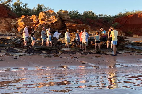 Scenic And Prehistoric Boat Tour - Accommodation NT 5