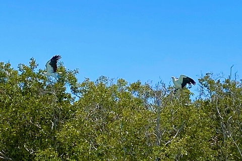 Scenic And Prehistoric Boat Tour - Accommodation NT 1