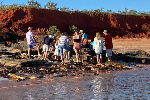 Scenic And Prehistoric Boat Tour - Accommodation NT 9