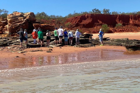 Scenic And Prehistoric Boat Tour - Accommodation NT 27