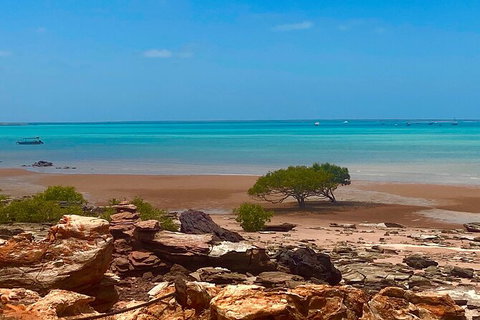 Scenic And Prehistoric Boat Tour - Accommodation NT 8