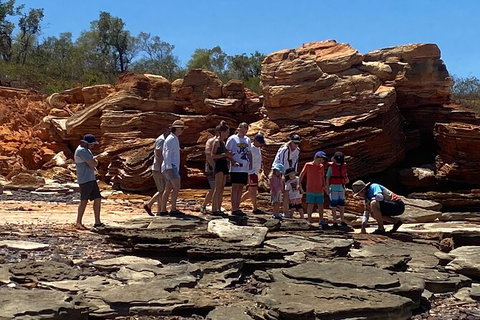 Scenic And Prehistoric Boat Tour - Accommodation NT 12