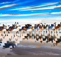 Broome Pre-sunset Camel Tour 30 minutes - Accommodation NT