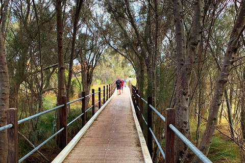 The Fully Local (Private) Tour - Accommodation NT 19