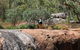 Kitty\'s Gorge Guided Hike - thumb 4