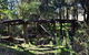 Kitty\'s Gorge Guided Hike - thumb 2