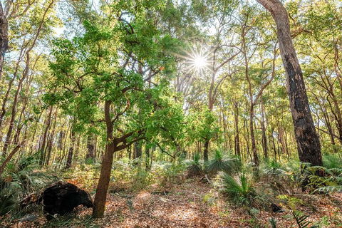 Kitty\'s Gorge Guided Hike - Accommodation NT 0