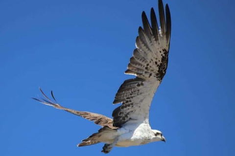 Romance Aircraft Flight + Scenic Tour + 3 Course Lunch + Beer Tasting + Hamper - Accommodation NT 4