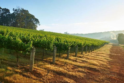 Botanical Gardens, Winery And Scenic Full Day Tour - Accommodation NT 2