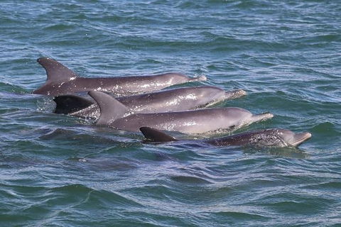 Romance Cruise + Scenic Tour + Beer Tasting + 3 Course Lunch + Hamper - Accommodation NT 7