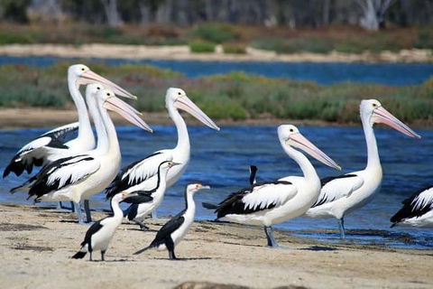 Romance Cruise + Scenic Tour + Beer Tasting + 3 Course Lunch + Hamper - Accommodation NT 5