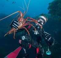 Rottnest Island Deep Dive Day Trips