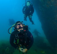 Scuba Dive The Beautiful Rottnest Island