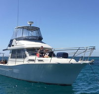 Single Boat Dive