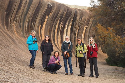 Wave Rock, Wild Flowers And Astro Photography - Accommodation NT 9
