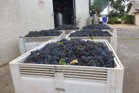 A Taste Of Margaret River Luxury Wine Tour - Accommodation NT 3