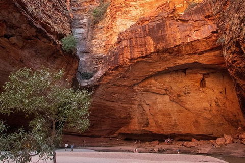 Bungles Day Trek Extended (with Echidna Chasm) - Accommodation NT 0