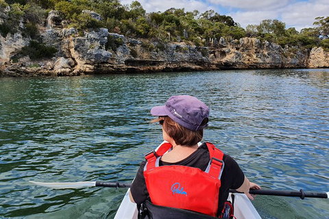 Cliffs And Caves Kayak Tour In Swan River - Accommodation NT 1