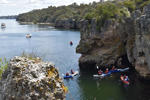 Cliffs And Caves Kayak Tour In Swan River - Accommodation NT 2