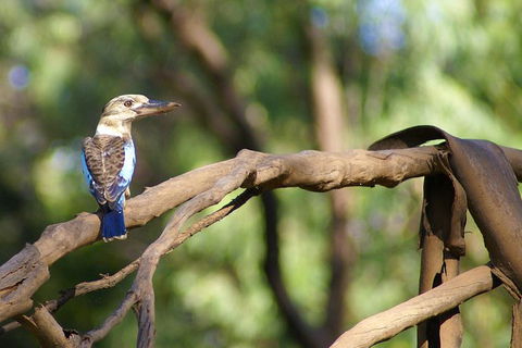 Ord River Experience With Riverside Lunch - Accommodation NT 1