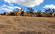 Full-Day Tour Of Wave Rock And York With Lunch - thumb 8