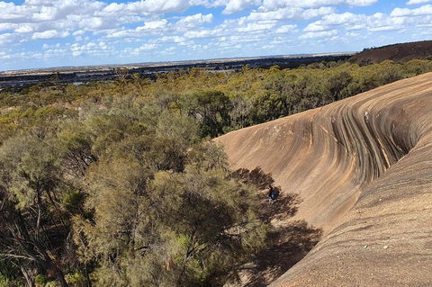 Full-Day Tour Of Wave Rock And York With Lunch - Accommodation NT 7