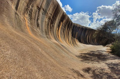 Full-Day Tour Of Wave Rock And York With Lunch - Accommodation NT 4