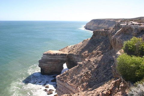 3-Day Shark Bay, Monkey Mia, Kalbarri West Coast Tour - Accommodation NT 5