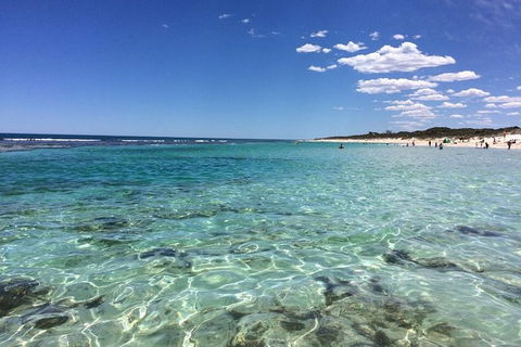 3-Day Shark Bay, Monkey Mia, Kalbarri West Coast Tour - Accommodation NT 8