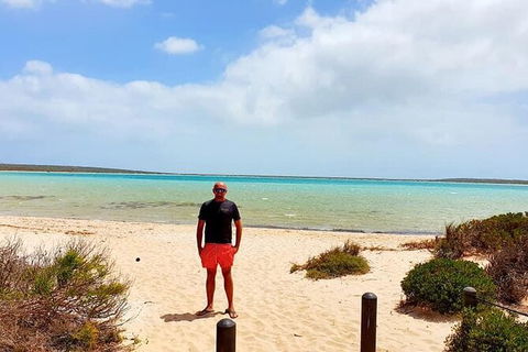 3-Day Shark Bay, Monkey Mia, Kalbarri West Coast Tour - Accommodation NT 2