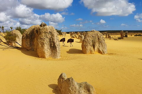 3-Day Shark Bay, Monkey Mia, Kalbarri West Coast Tour - Accommodation NT 4