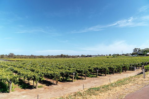 The Non-Touristy Swan Valley Private Day Trip & Wine Tastings - Accommodation NT 3