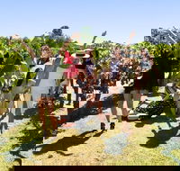 Wine Beer  Chocolate Tour - Accommodation NT