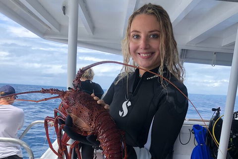 Become A PADI Open Water Diver In 3 Days In Perth - Accommodation NT 5