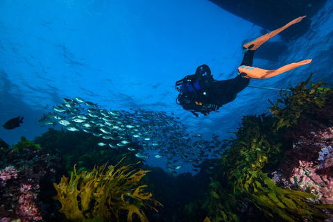 Become A PADI Open Water Diver In 3 Days In Perth - Accommodation NT 1