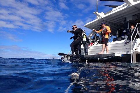 Become A PADI Open Water Diver In 3 Days In Perth - Accommodation NT 0
