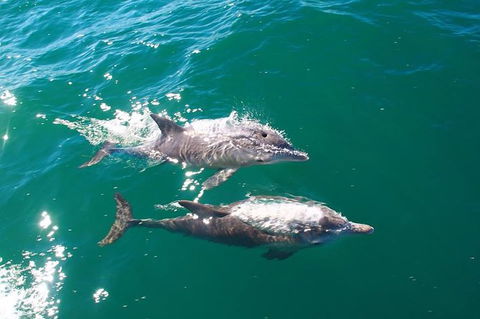 Sailing Kayak Adventure Through The Peel Harvey Estuary - Accommodation NT 1