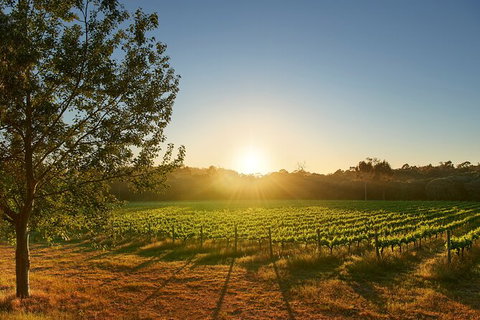 Private Barrel Hall Wine Tasting In The Margaret River Region - Accommodation NT 3
