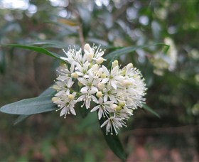 Watersleigh NSW Accommodation NT