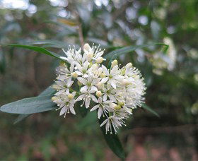 Booderee National Park - Accommodation NT 0