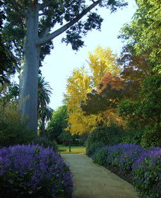 Albury NSW Accommodation NT