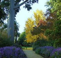 Albury Botanic Garden - Accommodation NT