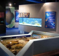 Marine and Freshwater Discovery Centre - Accommodation NT