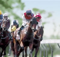 Colac Turf Club - Accommodation NT