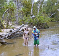 Tjuwaliyn / Douglas Hot Springs Park - Accommodation NT