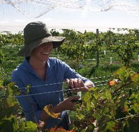 Kingsdale Wines - NT Tourism