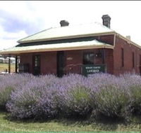 Lavender House in Railway Park - Accommodation NT