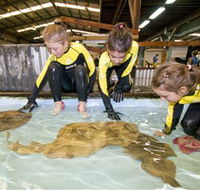 Australian Shark and Ray Centre - Accommodation NT