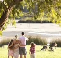 Yanchep National Park - Bushwalking Trails - Accommodation NT