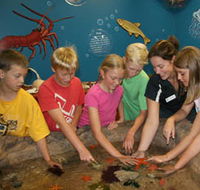 Naturaliste Marine Discovery Centre - Accommodation NT